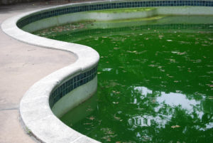 dallas pool repair